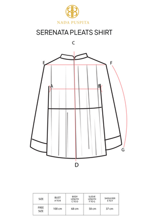 Serenata Pleats Shirt - Black