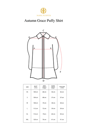 Autumn Grace Puffy Shirt - Black