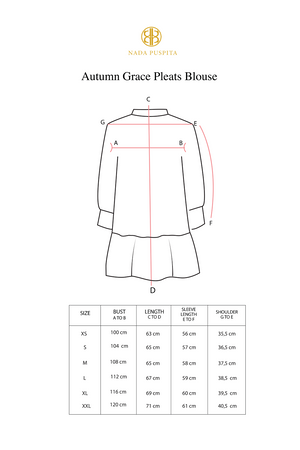 Autumn Grace Pleats Blouse - Black