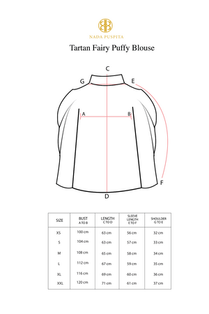 Tartan Fairy Puffy Blouse - Grey