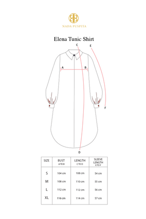 Elena Tunic Shirt - Brick