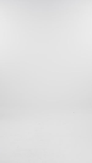 Majestica Raya Men Shirt - Black