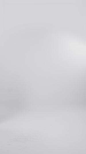Serenata Embroidery Shirt - Ivory