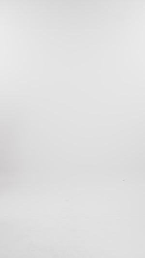 Majestica Raya Men Shirt - Maroon