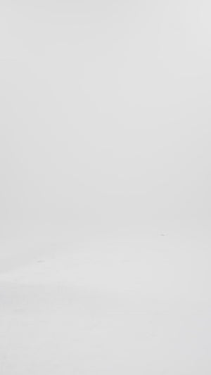 Majestica Raya Kids Dress - Black