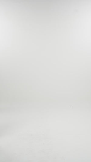 Majestica Raya Batwing Shirt - Ivory